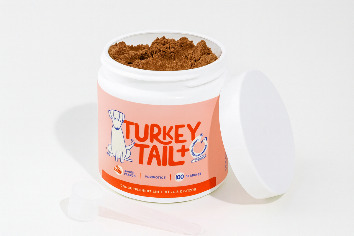 Amira’s Belly Care